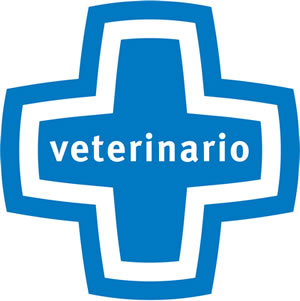 Veterinario